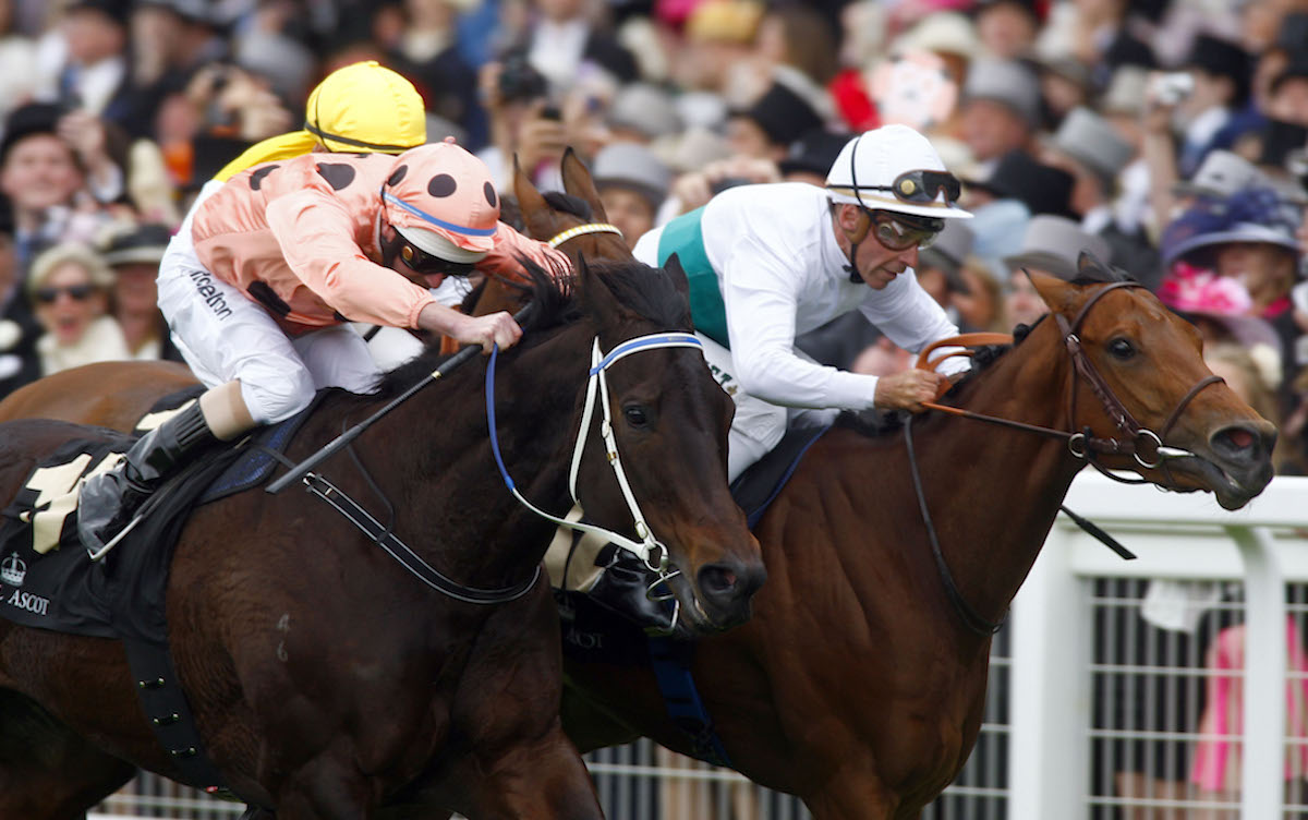 Royal Ascot drama: Black Caviar and Luke Nolan (black spots, near side) hold on from Moonlight Cloud (right) and Restiadargent (yellow) to win the Diamond Jubilee Stakes in 2012. Photo: Dan Abraham / focusonracing.com