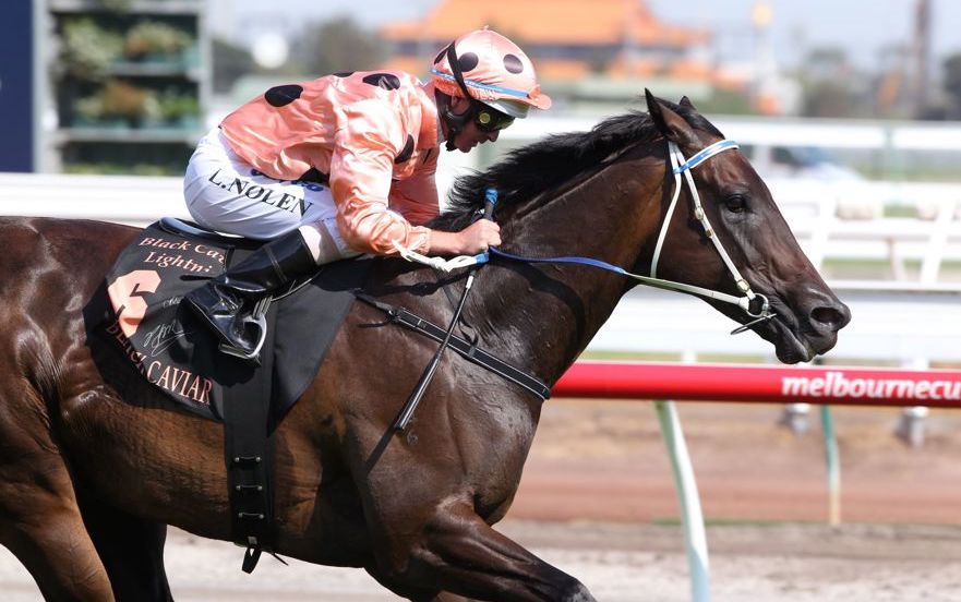 Unbeatable: the legendary Black Caviar under regular rider Luke Nolen. Photo: Racing Photos/VRC