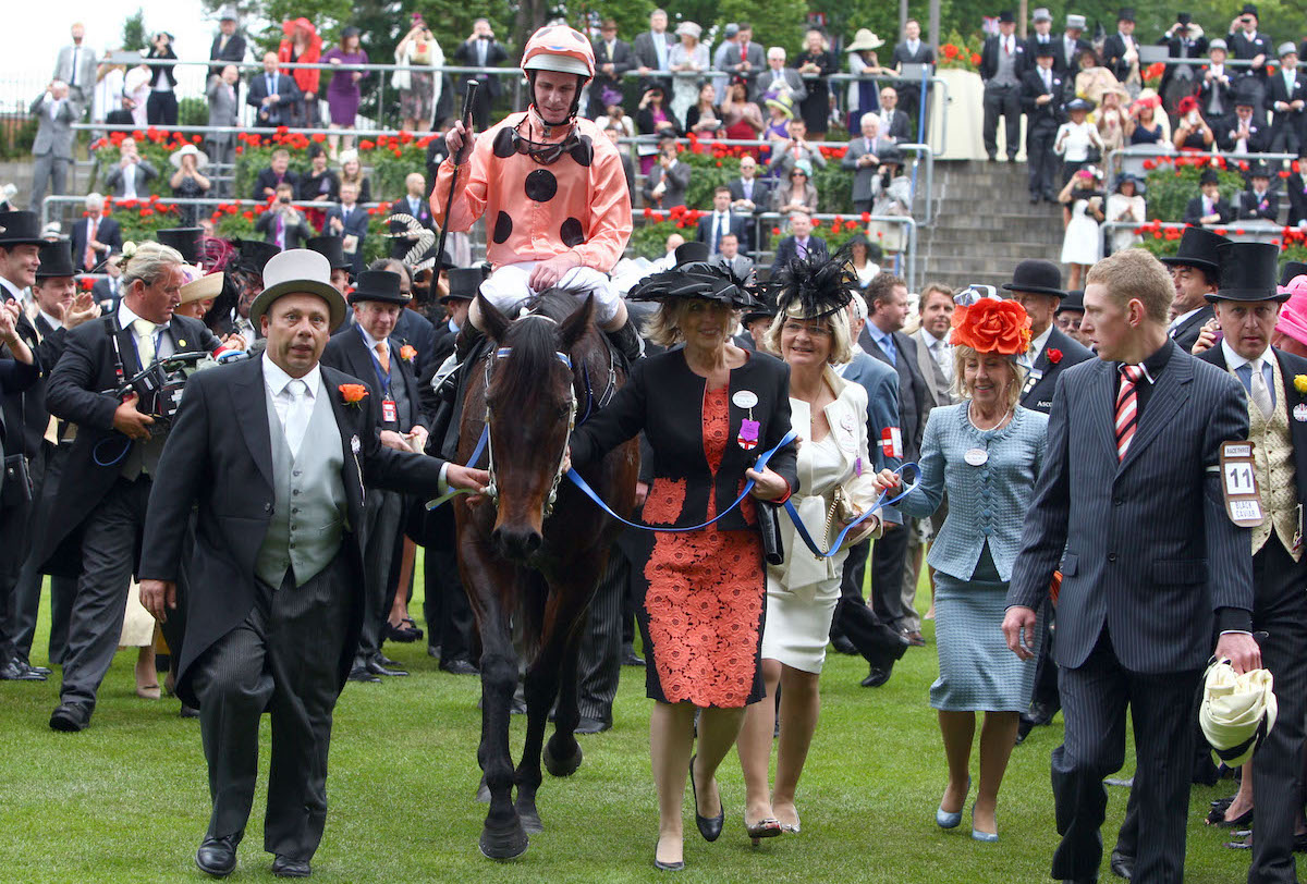 After the drama: Black Caviar is led into the Royal Ascot winner’s enclosure. Photo: Dan Abraham / focusonracing.com