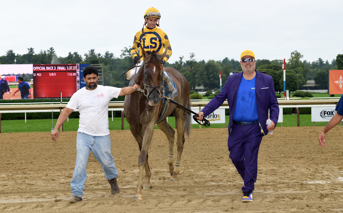 Bank Frenzy: decisive winner on Sunday’s card. Photo: NYRA / Coglianese