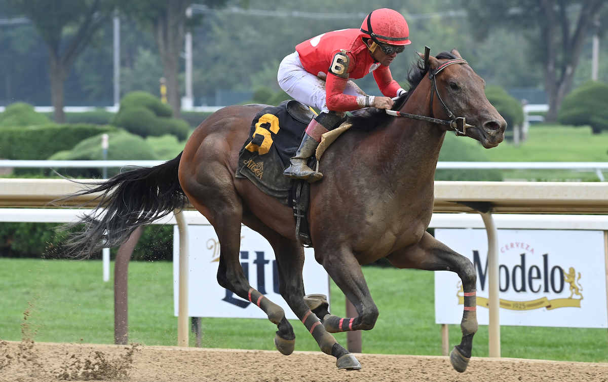 Jonathan’s Way keeps up the good work for trainer Phil Bauer. Photo: NYRA / Coglianese