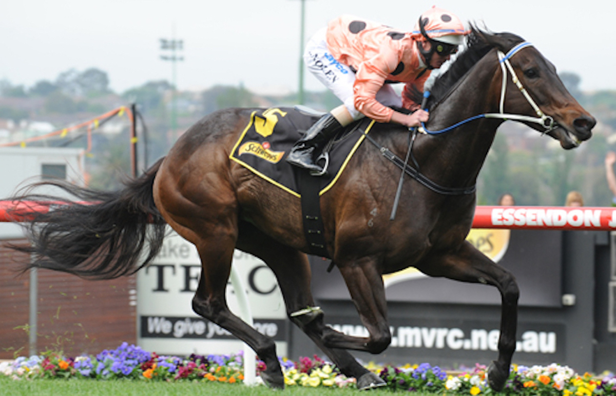 Black Caviar: retired after 25 races undefeated. Photo: Slickpix for Racing Victoria