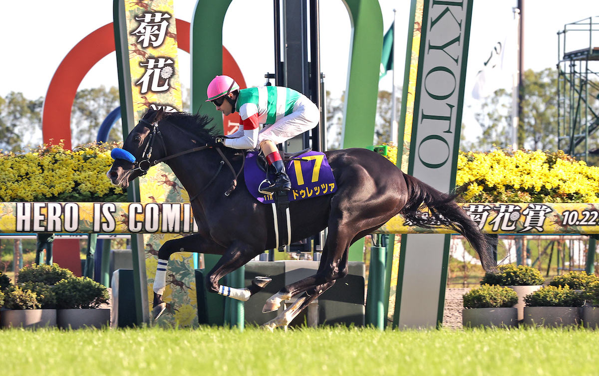 Durezza: Japanese visitor wins Kikuka Sho (Japanese St Leger) under York pilot Christophe Lemaire at Kyoto racecourse in October 2023. Photo; JRA