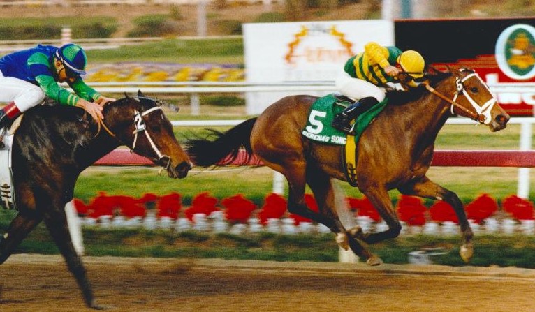 Serena's Song fights tooth and nail to beat the classy Urbane in the Hollywood Starlet. (Hollywood Park/Stidham Photo, provided by Edward Kip Hannan & Roberta Weiser)