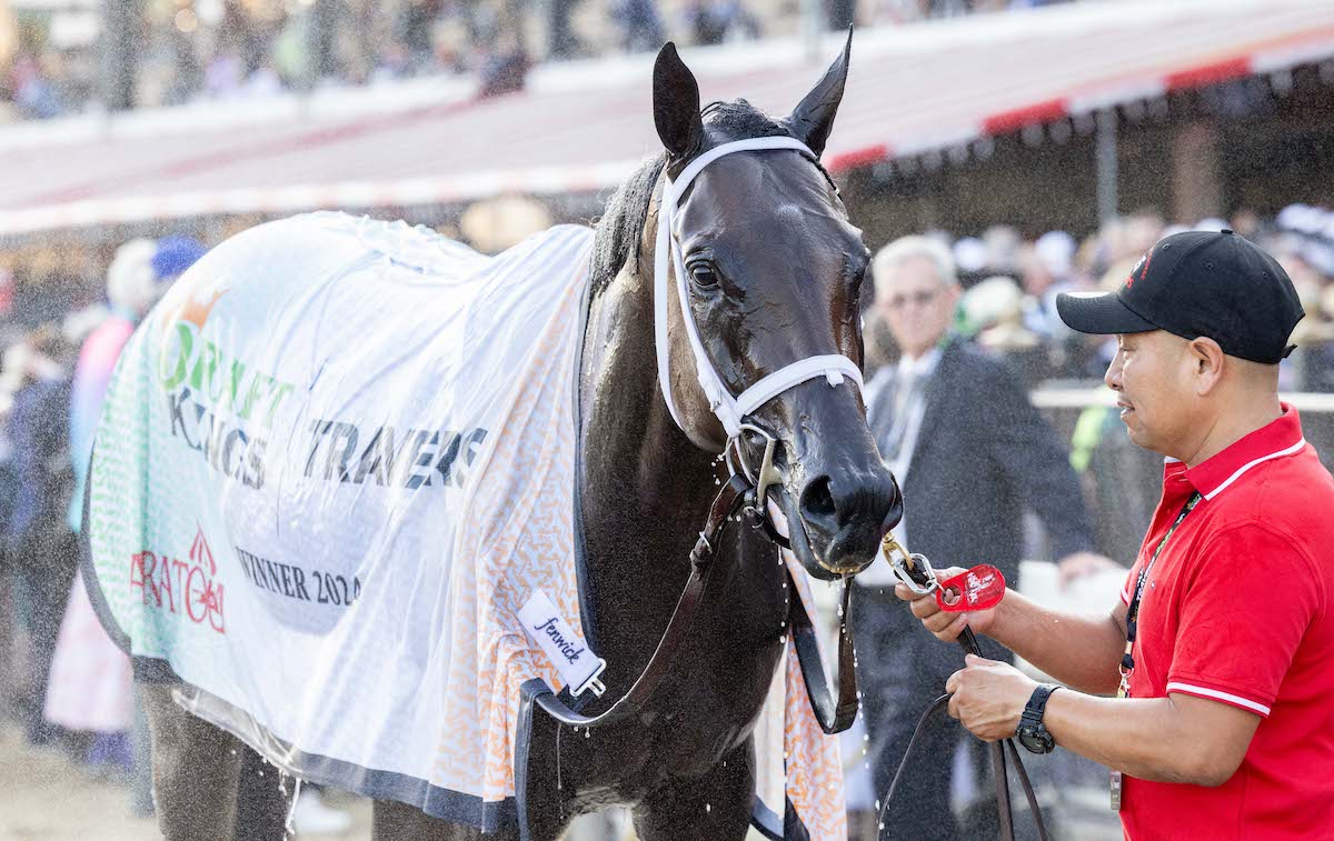 Fierceness in his winner’s blanket at Saratoga. Photo: NYRA/Walter Wlodarczyk