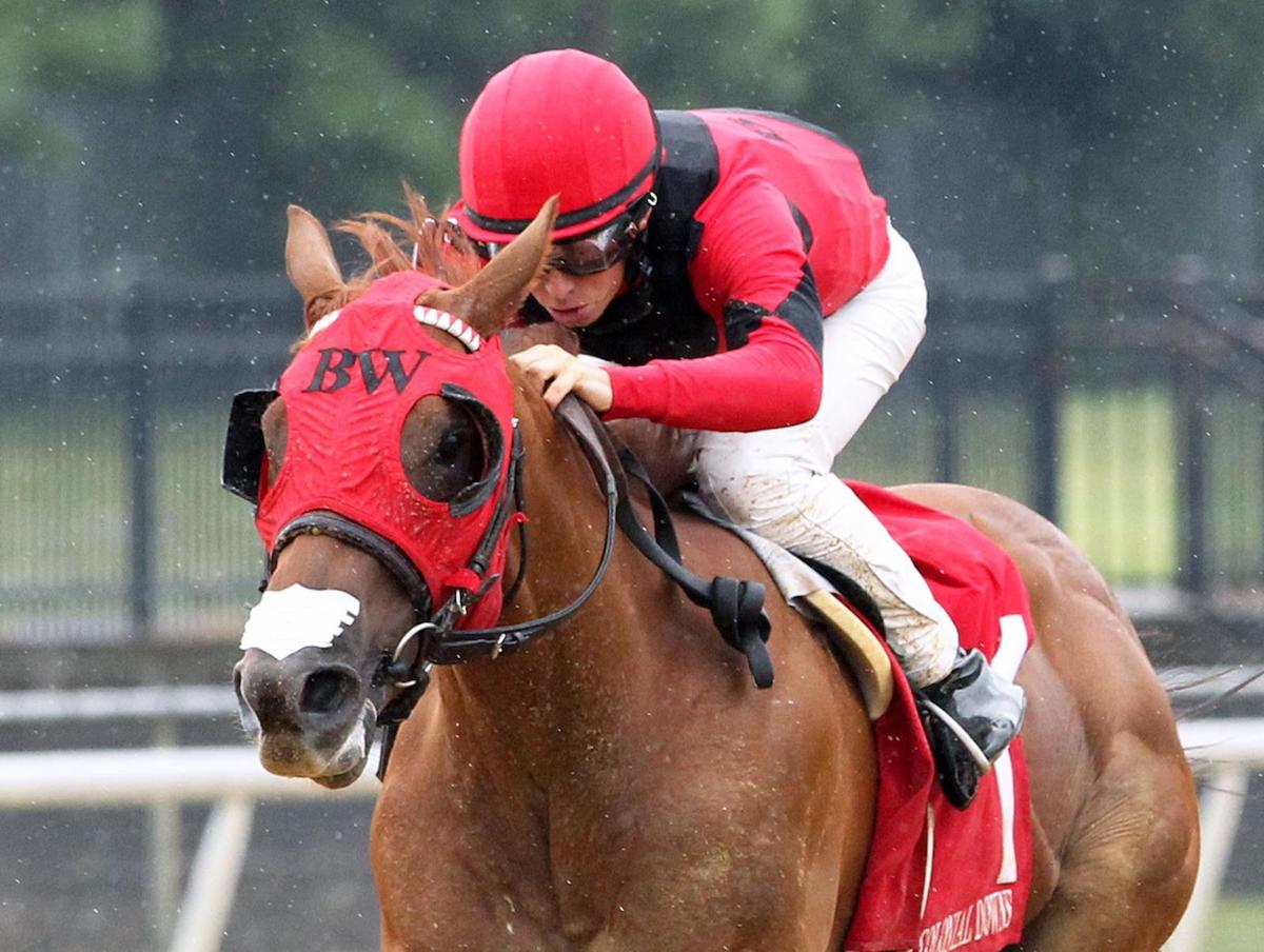 Gavin Ashton in action at Colonial Downs. Photo: Colonial Downs/Coady