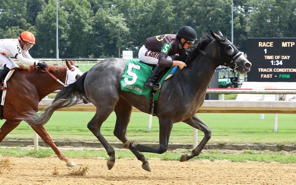 Making a mark: Gavin Ashton in winning form at Colonial Downs. Photo: Colonial Downs/Coady