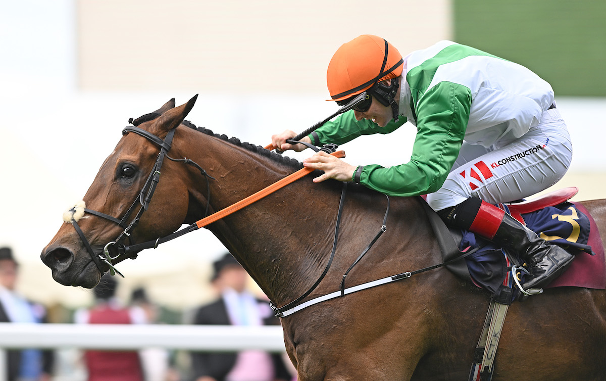 Melbourne no-go: Crystal Black scoring at Royal Ascot. Photo: Francesca Altoft / focusonracing.com