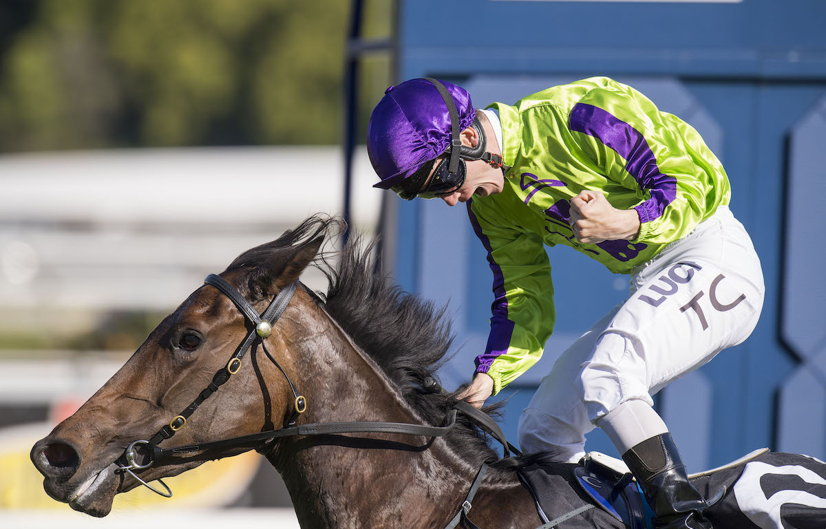 Success story: Global Glamour (Tim Clark) wins the Thousand Guineas at Caulfield in the silks of the It’s All About The Girls syndicate. Photo supplied