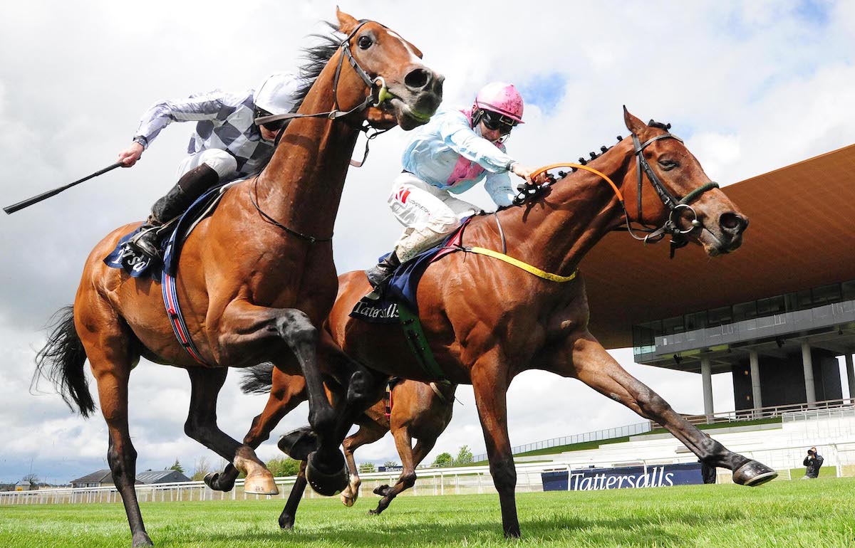 Tattersalls Ireland graduate Helvic Dream (far side) beats Broome for a G1 success at the Curragh in the Tattersalls Gold Cup. Photo: Healy / focusonracing.com