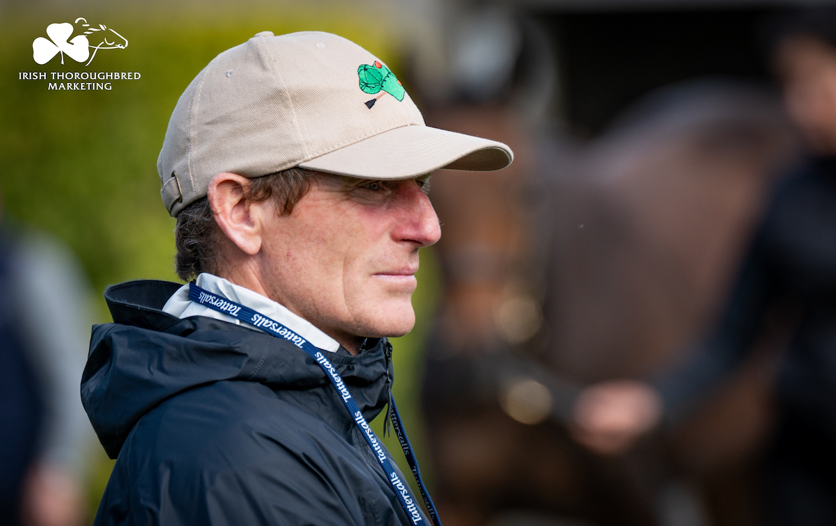 Hunting for talent: Johnny Murtagh on the lookout at Tattersalls Ireland. Photo: ITM