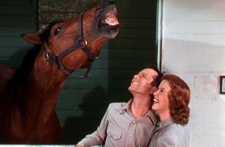 Lon McCallister and Shirley Temple share a joke with Seabiscuit. (Warner Bros.)