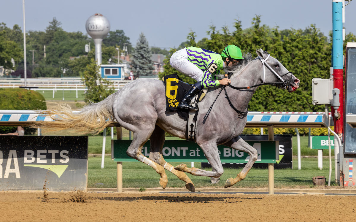 Next (Luan Machado) strolls home to win the G2 Brooklyn – for the second year. Photo: NYRA / Walter Wlodarczyk (Coglianese)