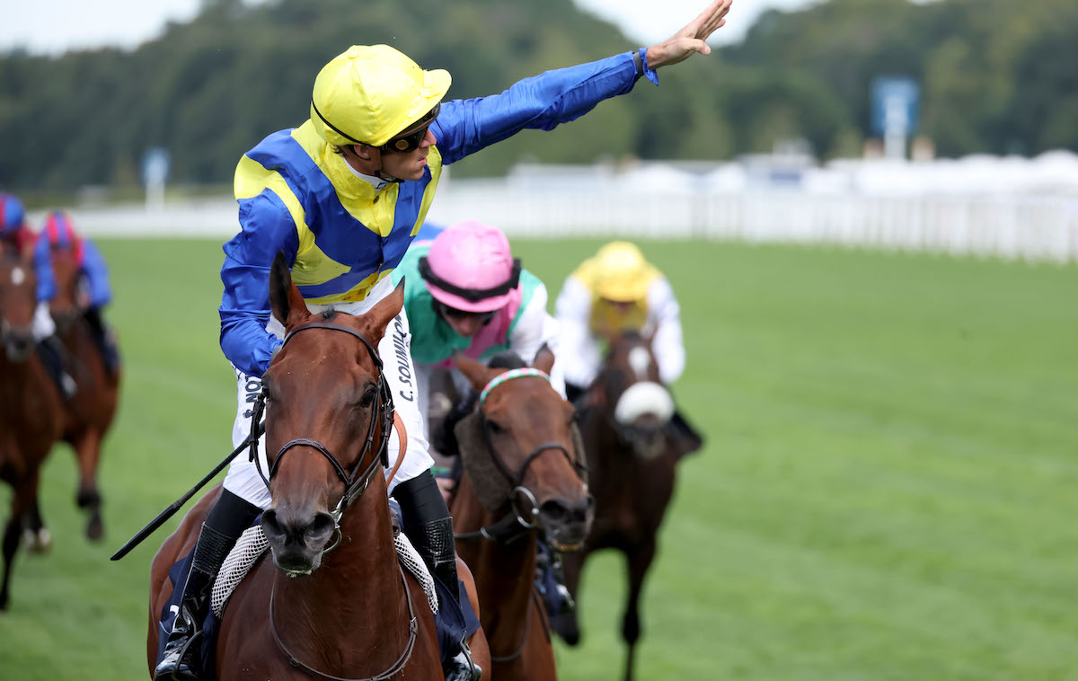 Ascot hero Goliath (Christophe Soumillon) reportedly as a foot abscess. Photo: Dan Abraham / focusonracing.com