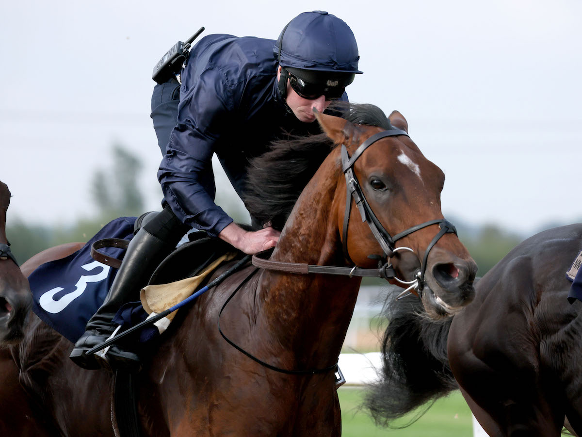 A study in concentration: Ryan Moore on City Of Troy at Southwell. Photo: Dan Abraham / focusonracing.com