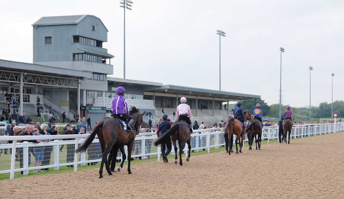 On the track: the Aidan O’Brien team, with City Of Troy third, pass the stands at Southwell before their prep. Photo: Tony Knapton / focusonracing.com