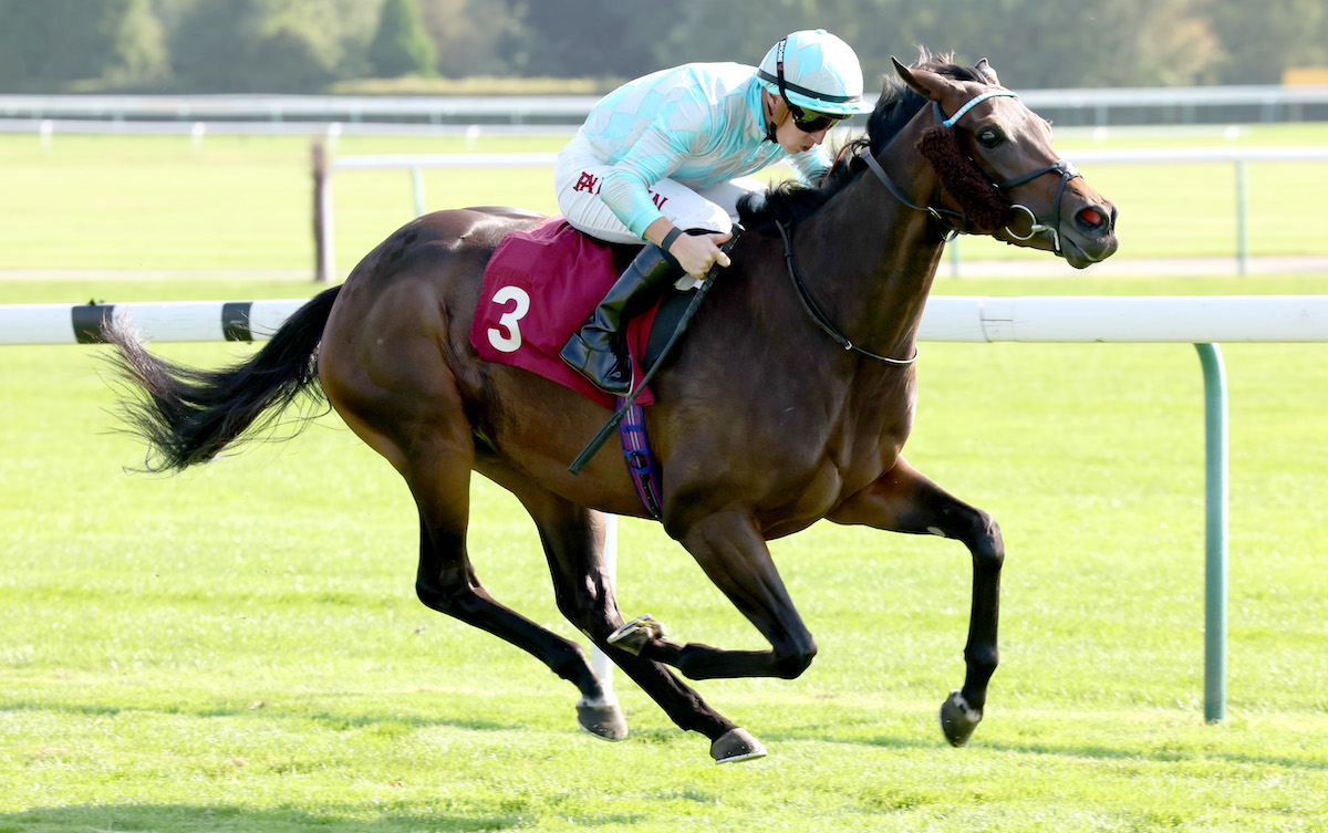 Bonus payday: Bintjeddah and Tom Marquand winning in novice company at Hatdock to land a total in excess of £50,000 for connections. Photo: Dan Abraham / focusonracing.com