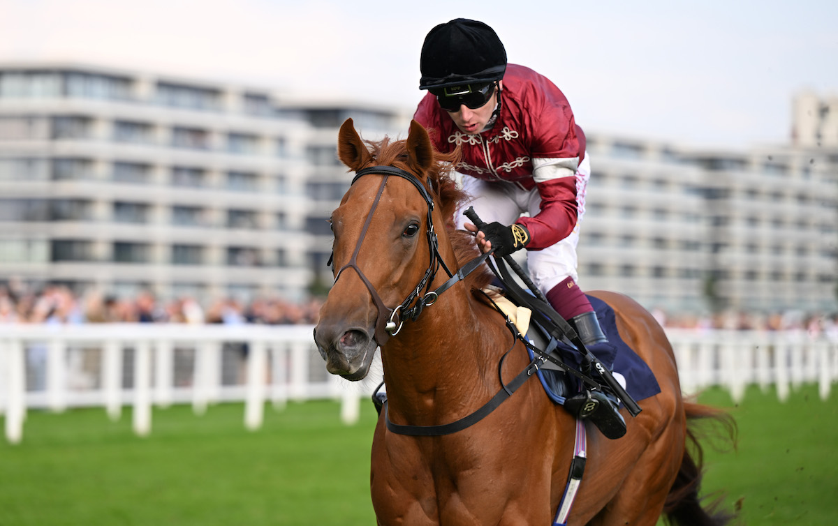 Make You Smile (Oisin Murphy) claimed a Book 1 Bonus with a debut win at Newbury on Saturday [Sept 21]. Photo: Francesca Altoft / focusonracing.com