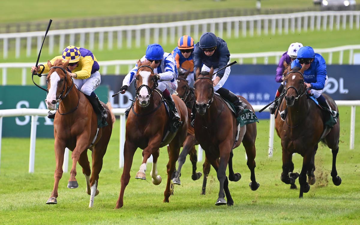 Seagulls Eleven (second left) on the way to coming third in G1 company in Ireland; the Galileo Gold colt won a £25,000 bonus at Haydock. Photo Healy Racing / focusonracing.com