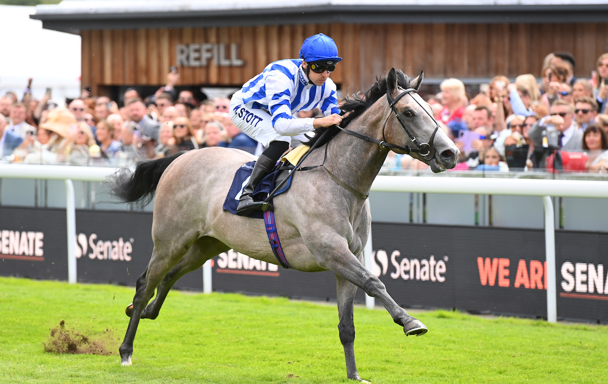 Seagolazo (Kevin Stott) wins a Chester maiden – and a £25,000 Book 1 Bonus into the bargain. Photo: Alan Wright / focusonracing.com