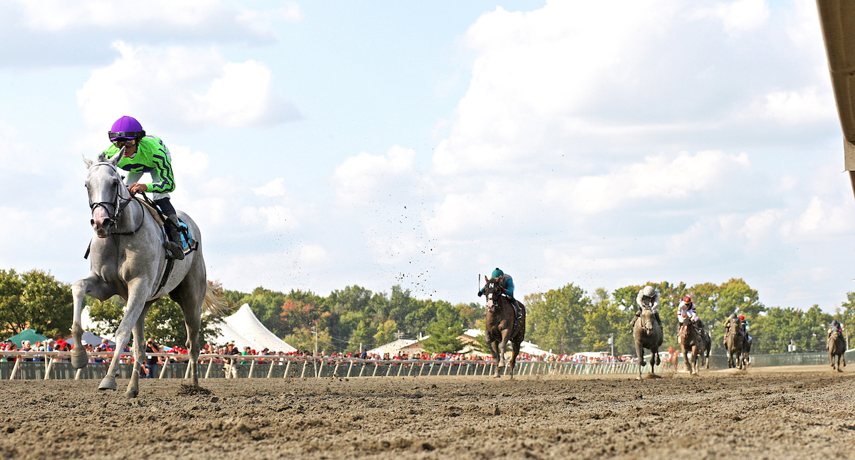 In a class of his own: Next (Luan Machado) is well clear of his Greenwood Cup rivals. Photo: Ryan Denver/EQUI-PHOTO