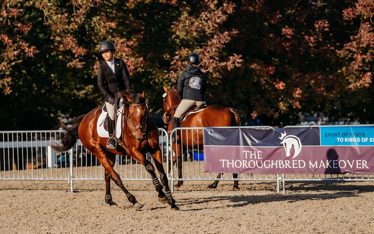 The dressage discipline at the Thoroughbred Makeover. Photo: Captivation Photography