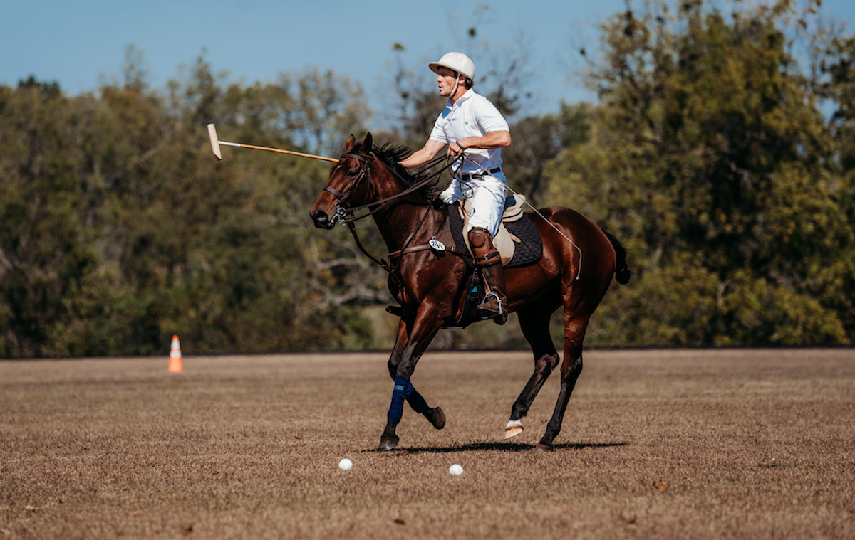 Peter Cumming and Lets Race Ladys in polo action at the Thoroughbred Makeover. Photo: Captivation Photography