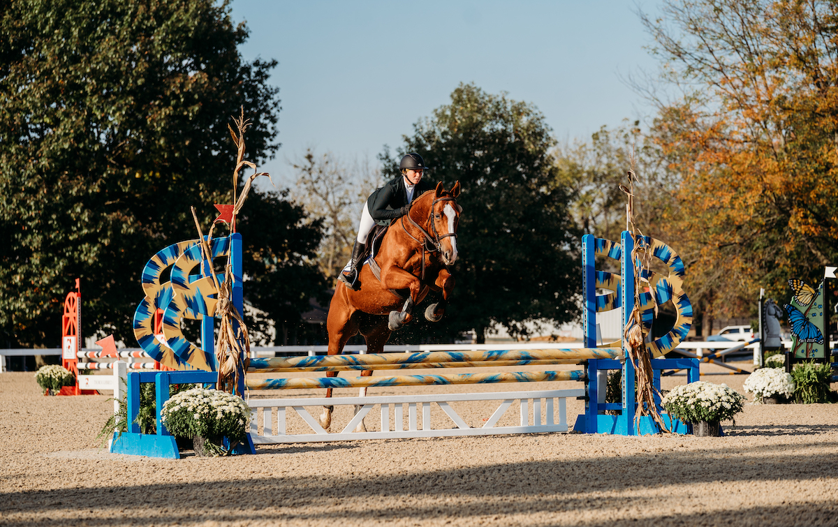 Show jumping is one of ten disciplines at the annual Thoroughbred Makeover. Photo: Captivation Photography