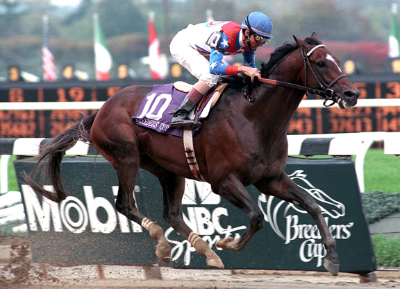 Favorite racehorse: Cigar wins the Breeders’ Cup Classic under Jerry Bailey in 1995. Photo: Coglianese