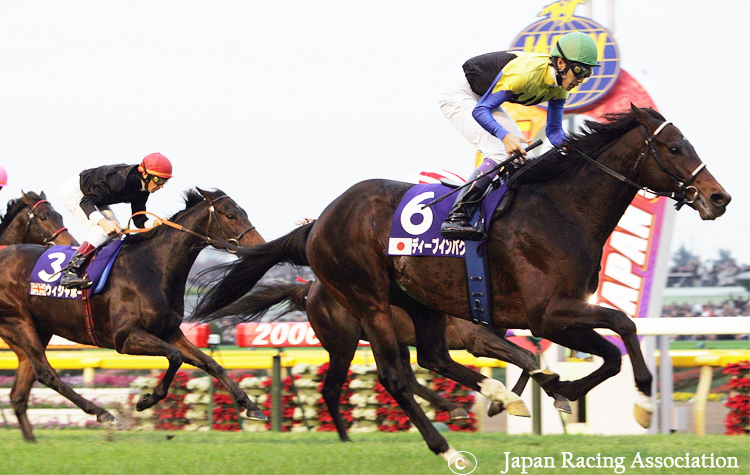 The curtain comes down: Ouija Board (No.3) not beaten far in third in a gallant effort behind Japanese icon Deep Impact on her final start in the Japan Cup of 2006. Photo: JRA