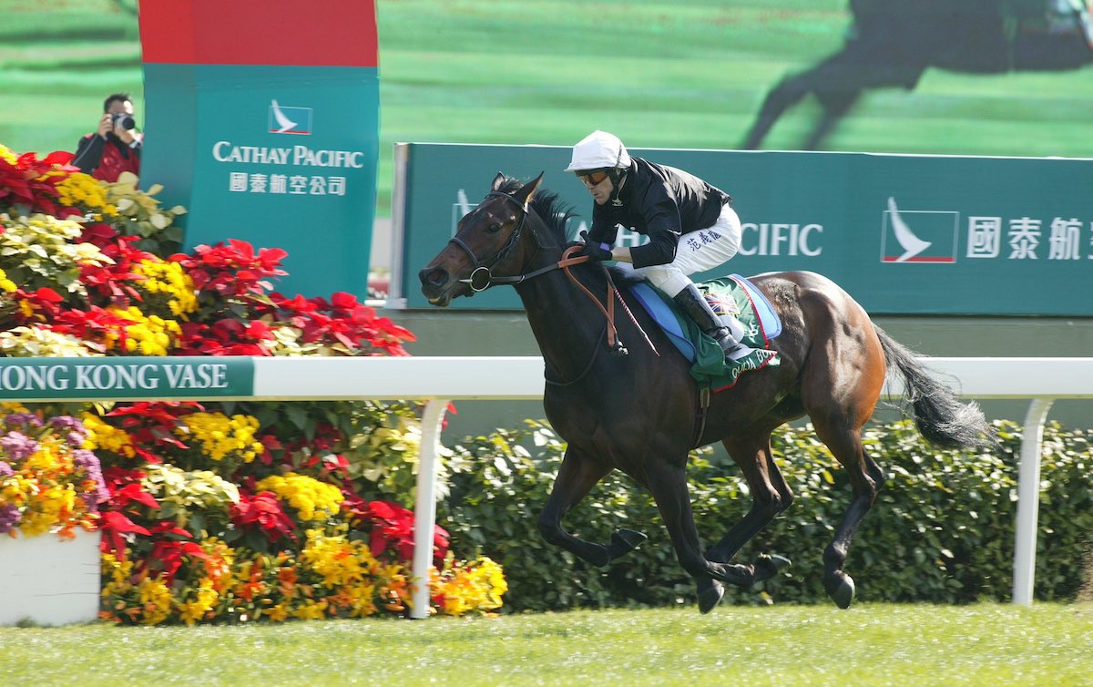 Renowned traveler Ouija Board wins the Hong Kong Vase at Sha Tin as a four-year-old under Kieren Fallon. Photo: Hong Kong Jockey Club