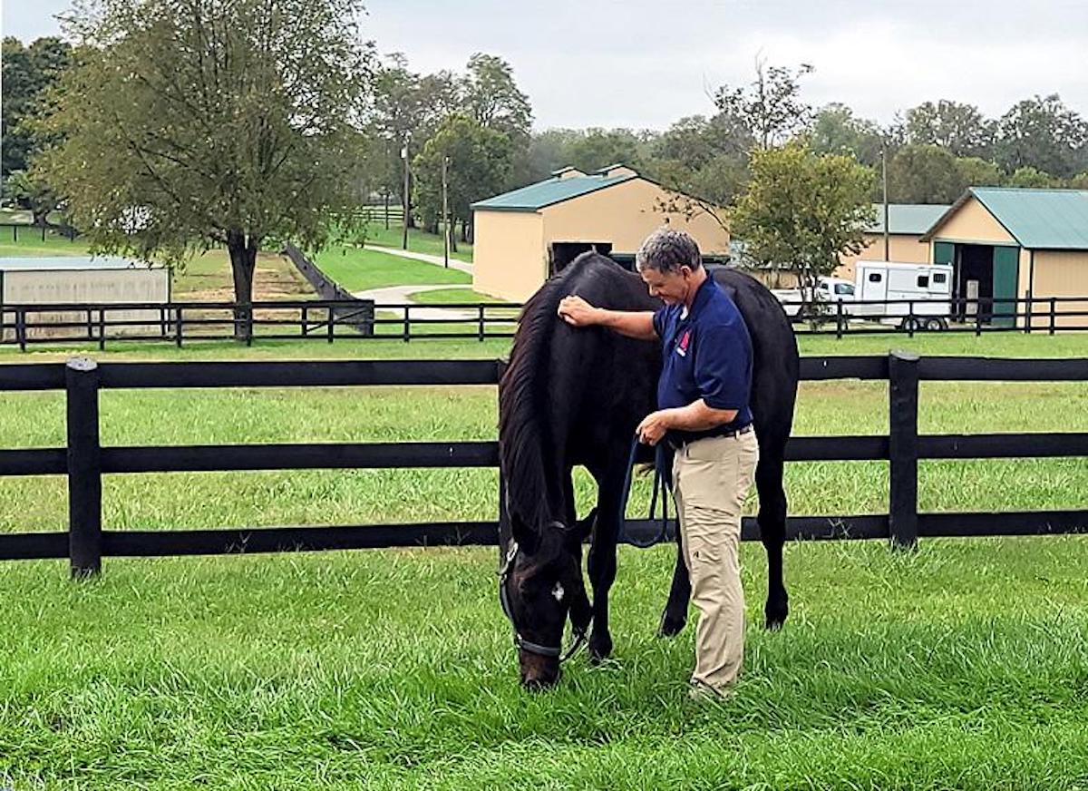 Sergio de Sousa, who trained Cozmic One in his second career as a show jumper, drove him over to Old Friends in his van. Photo: Rick Capone / Old Friends