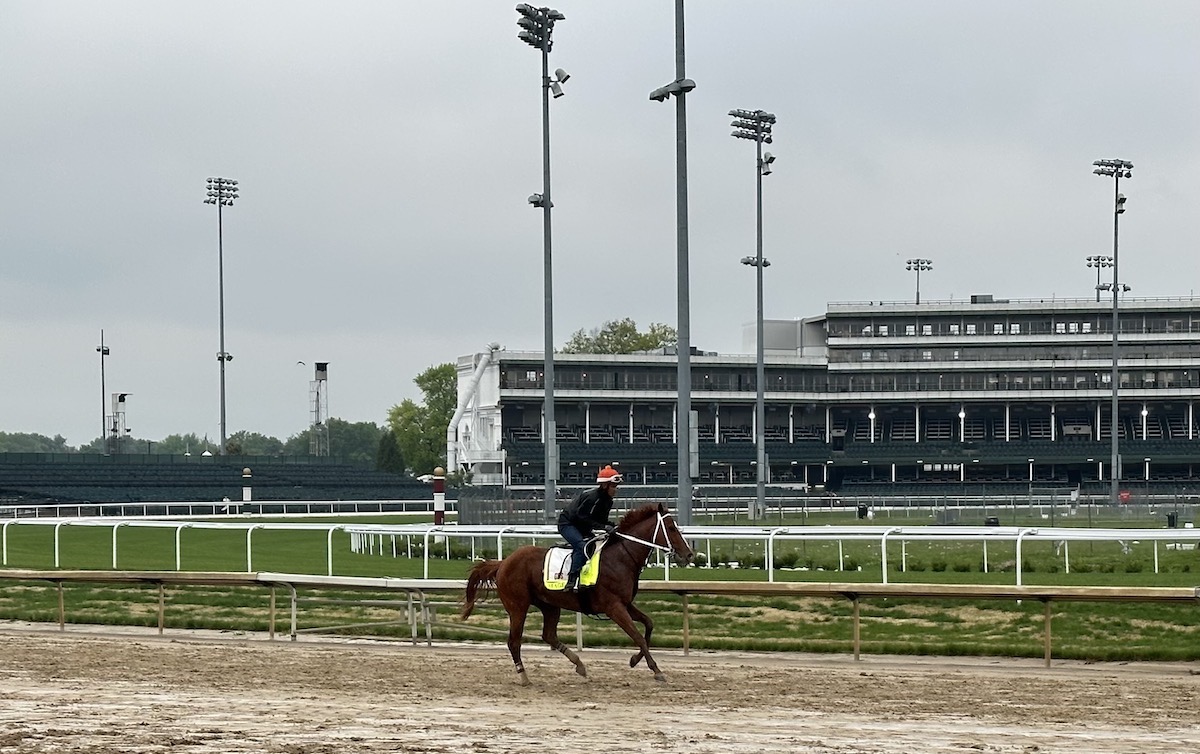 Mage under work rider JJ Delgado at Churchill Downs ahead of his victory in the 2023 Kentucky Derby. Photo: Jennie Rees