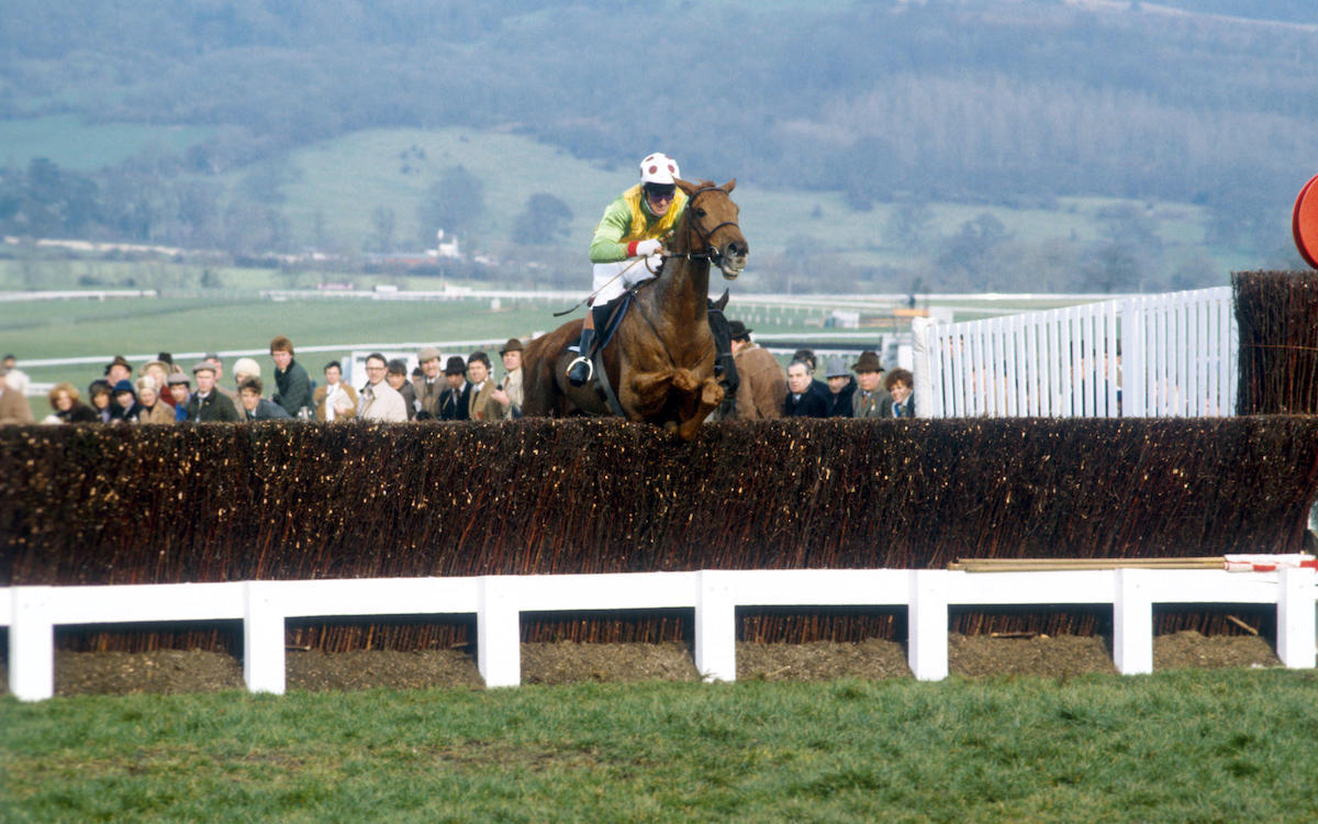 First of five: Bregawn (Graham Bradley) jumps the last on his way to leading home trainer Michael Dickinson’s ‘Famous Five’ in the 1983 Cheltenham Gold Cup. Photo: PA Images / Alamy Stock Photo