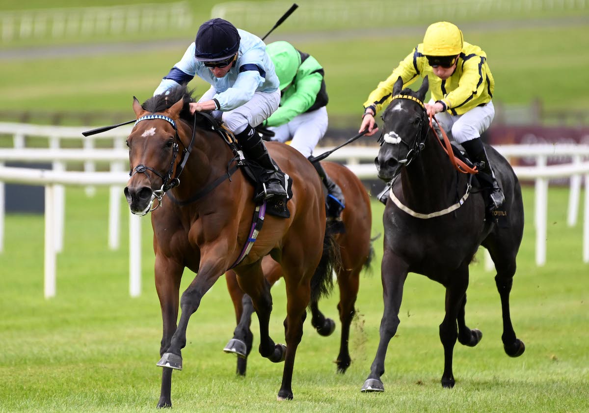 Believing (Ryan Moore) in G2-winning action at The Curragh earlier this year. Photo: Healy Racing / focusonracing.com