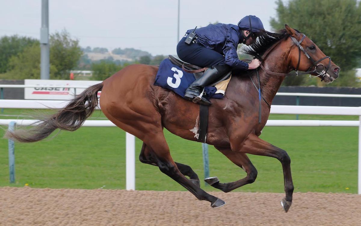 City Of Troy goes through his paces under Ryan Moore in a recent racecourse workout at Southwell. Photo: Tony Knapton / focusonracing.com