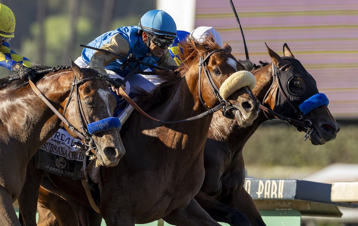 Subsanador (Mike Smith, centre) gets the best of a thrilling finish to California Crown. Photo: Benoit