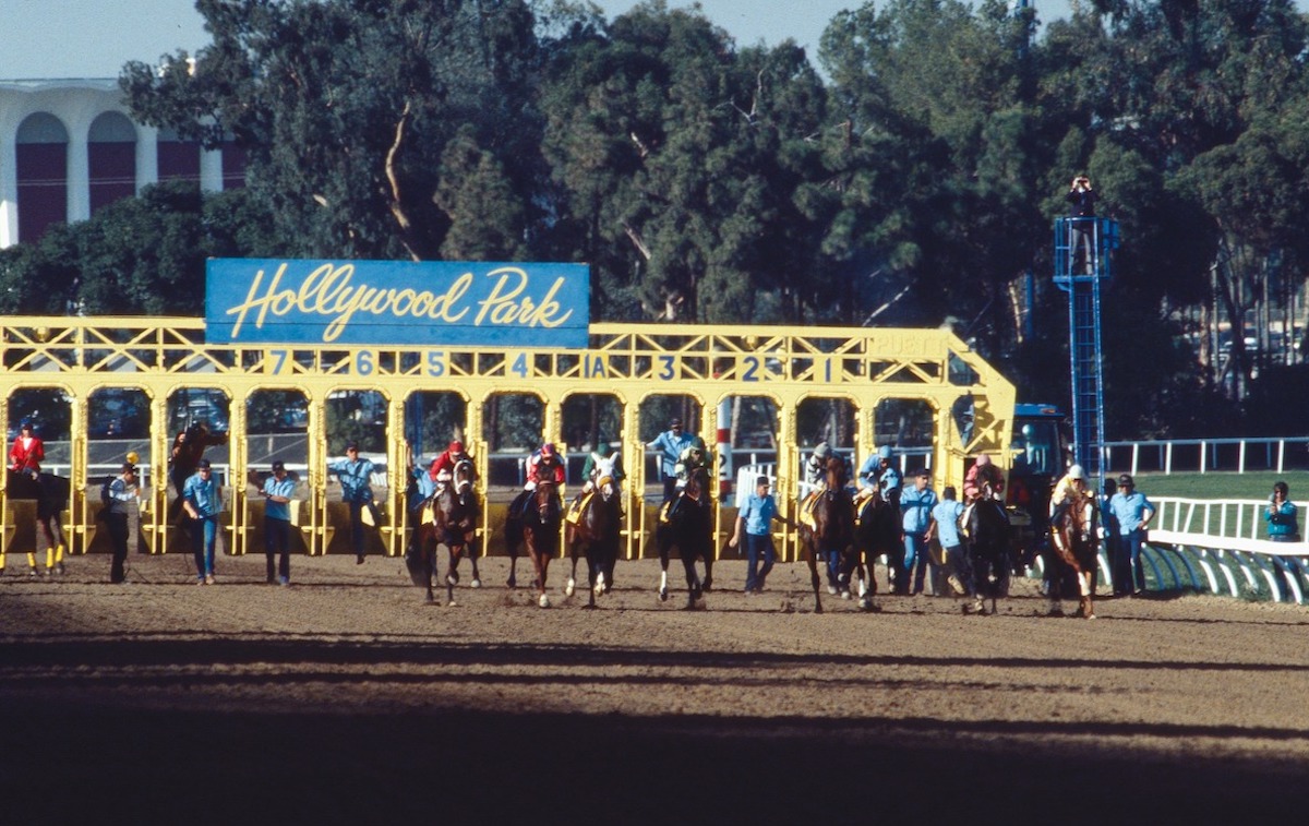 They’re off: gates open for the first edition of the Breeders’ Cup Classic in 1984 at Hollywood Park. Photo: Breeders’ Cup