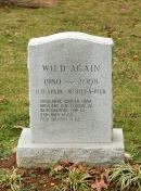 Wild Again’s gravestone at Three Chimneys Farm, where he was euthanized in December 2008 owing to the infirmities of old age