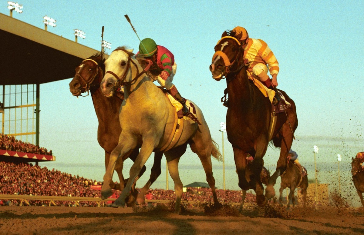 Alphabet Soup (Chris McCarron) in his finest hour, under attack from Cigar (left) and Louis Quatorze in the Breeders' Cup Classic. Photo: Benoit