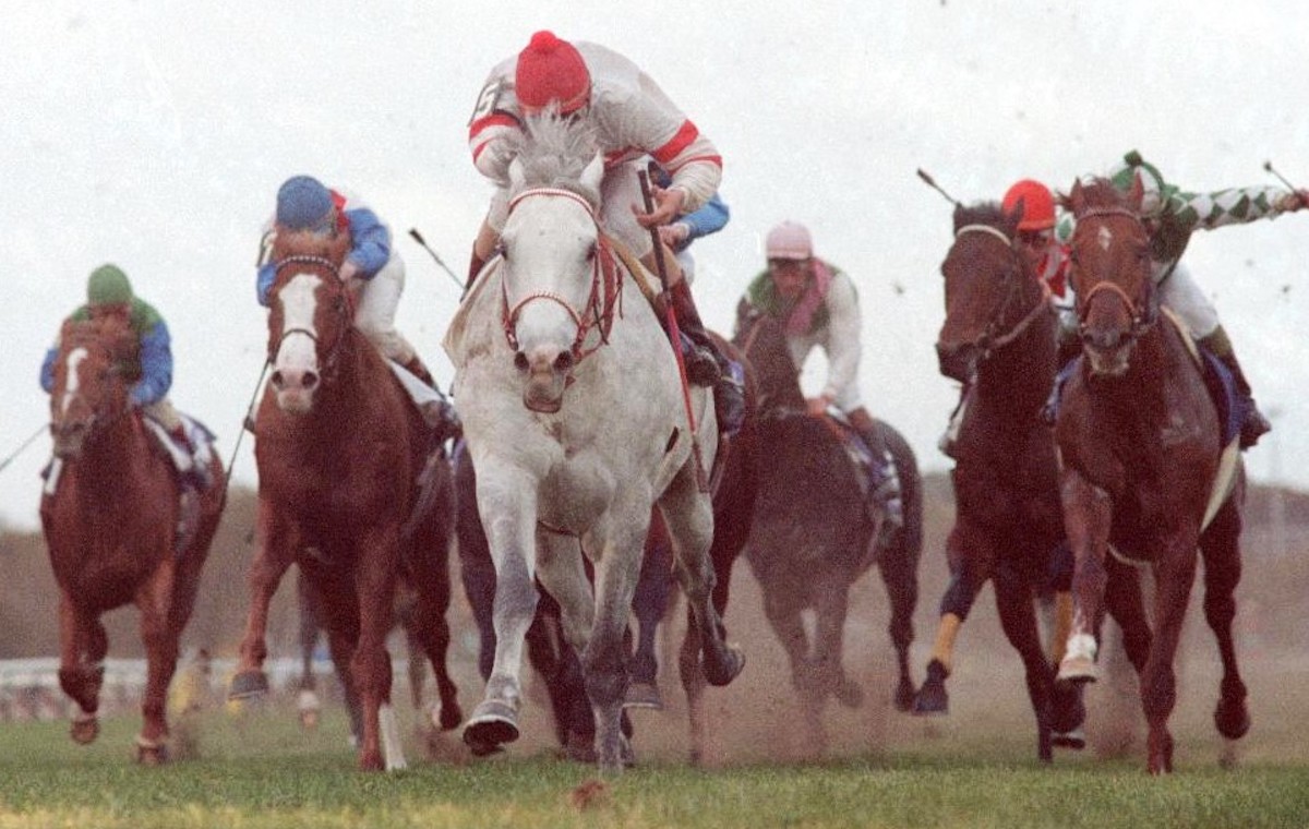 Alphabet Soup’s sire Cozzene made his Breeders' Cup mark in the 1985 Mile at Aqueduct. Photo: Coglianese