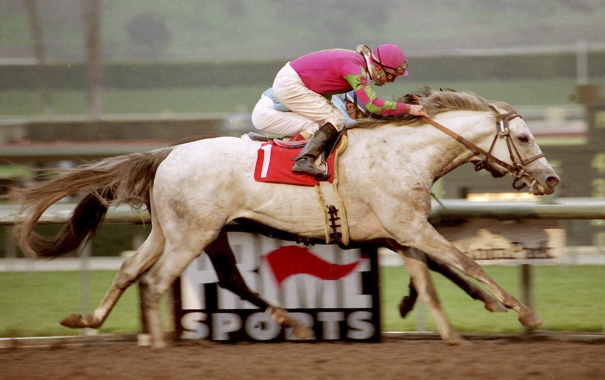 Alphabet Soup at his tenacious best, battling Soul Of The Matter in the San Antonio Handicap. Photo: Benoit