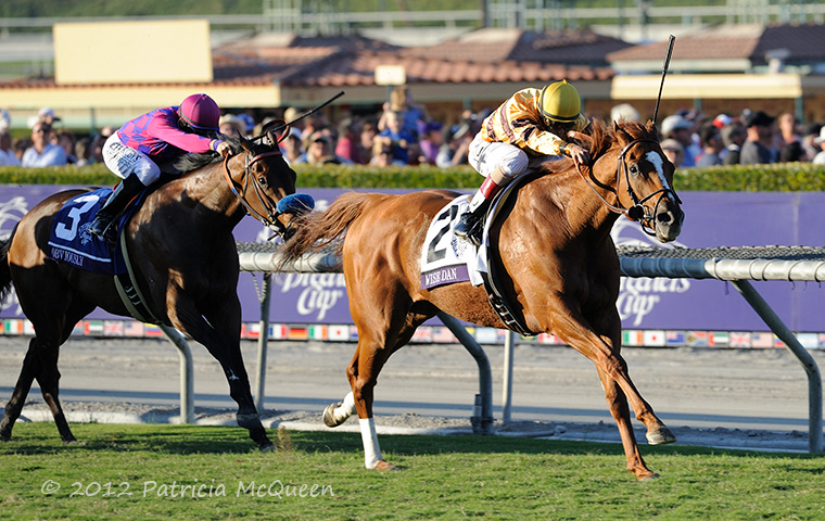 Wise Dan (John Velazquez) wins the 2012 Breeders’ Cup Mile at Santa Anita. Photo: Patricia McQueen