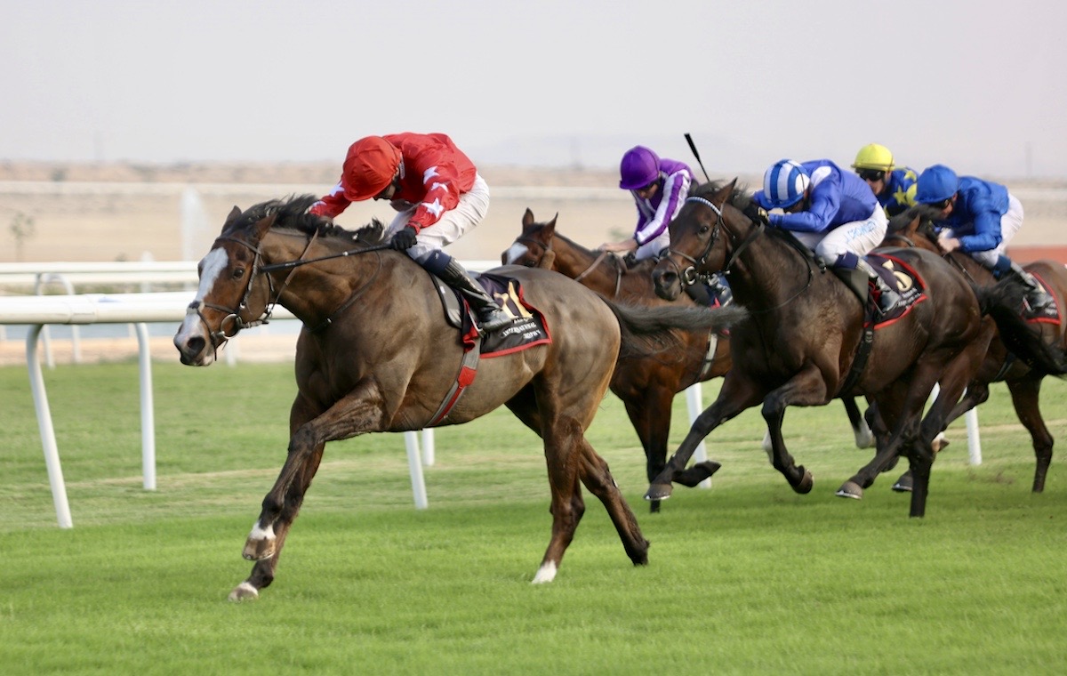 Spirit Dancer: set to defend crown in Bahrain International Trophy. Photo: Bahrain Turf Club