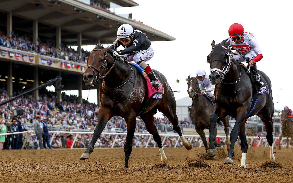 Straight No Chaser (John Velazquez, left) storms home from Bentornato to win the Breeders’ Cup Sprint. Photo: Alex Evers / Eclipse Sportswire / Breeders Cup