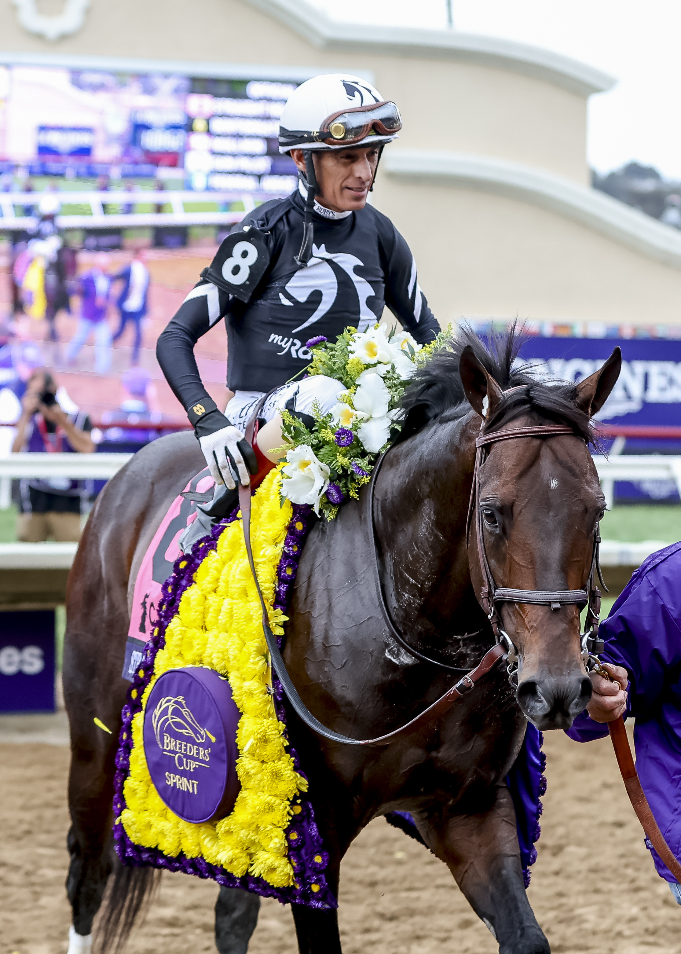 Winning team: John Velazquez and Straight No Chaser after scoring at Del Mar. Photo: Tim Suddith/Eclipse Sportswire/Breeders Cup