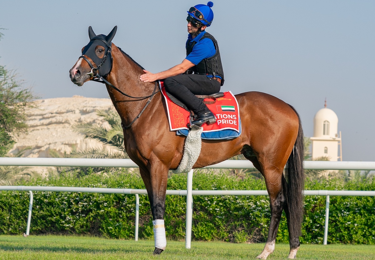 Nations Pride at the Bahrain Turf Club. Photo: Steve Cargill