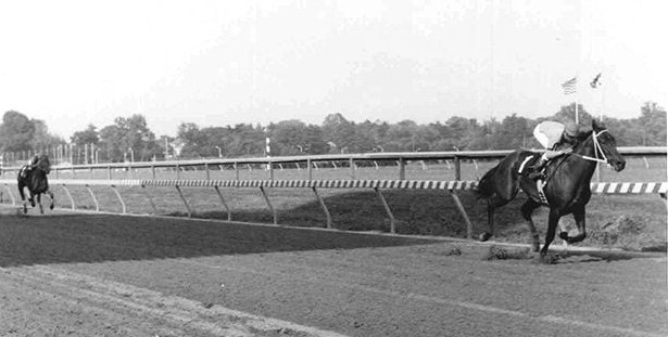 The two-year-old version of Safely Kept winning by many in the Smart Angle Stakes at Pimlico. (Double J Photography)