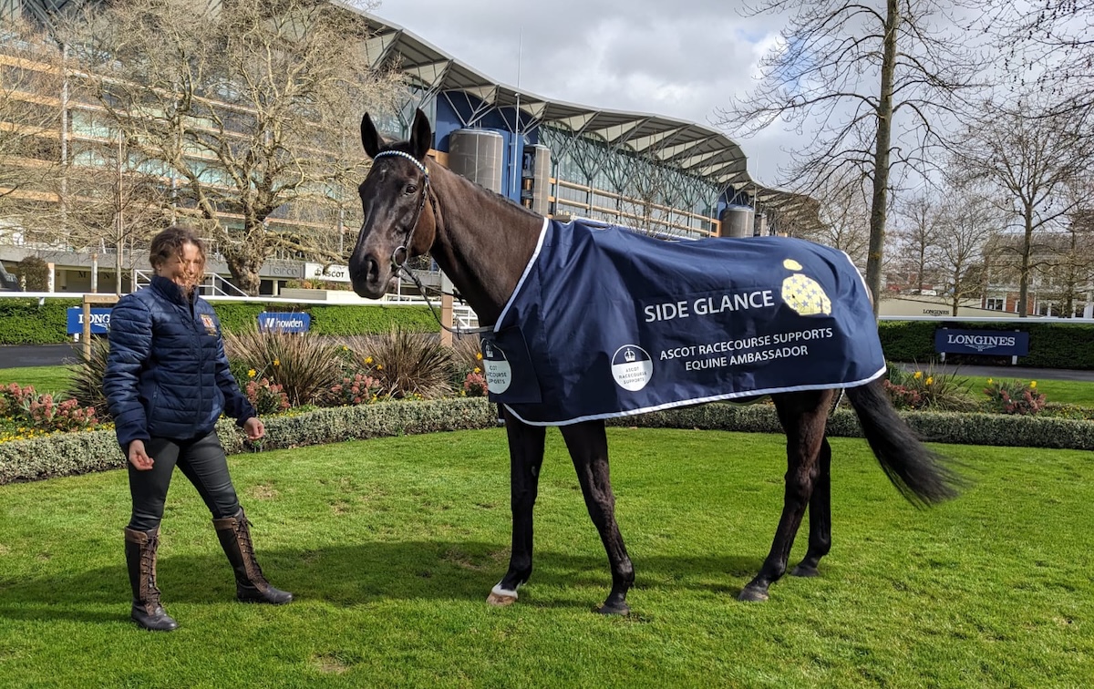 Side Glance: Ascot’s equine ambassador is a ‘funny old thing’, says owner Leanne White. Photo: Ascot Racecourse