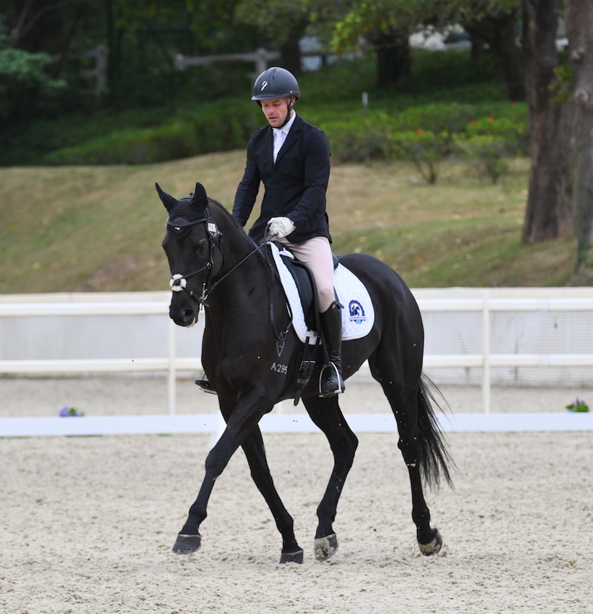 Come On Wongchoy won the FEI World Dressage Challenge Senior I competition in 2022. Photo: HKJC